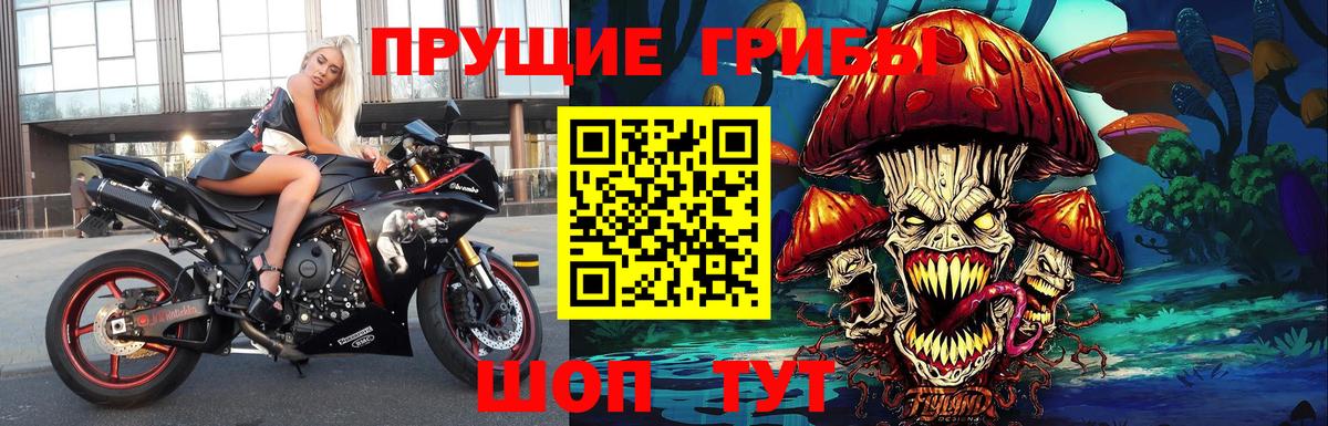 Галлюциногенные грибы GOLDEN TEACHER Мурино