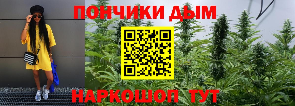 Каннабис марихуана Мурино